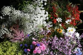 You're thinking about buying wedding flowers and wondering. How To Diy Your Wedding Flowers Mayfield Flowers