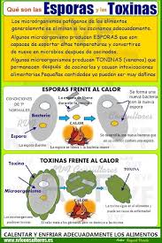 Manipulando Lo Que Comemos Bacterias Patogenas Conservacion De Alimentos Nutricion