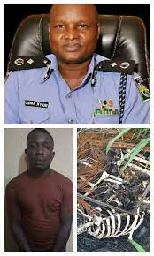 Maybe you would like to learn more about one of these? Kwararren Jami In Dan Sanda Mai Basira Dcp Abba Kyari Yayi Babban Kamu Jaridar Taskar Labarai