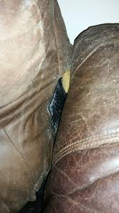 Bed bugs are small insects that rely on consuming human blood for sustenance and development. Bed Bug Problem Solver Discreet Heat Remediation Llc