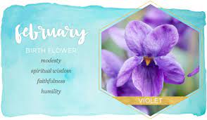 They're also commonly found in hawaiian hula symbology, since they're the state's official flower. Birth Month Flowers And Their Meanings