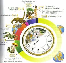 El Reloj Geologico Origen De La Tierra Ciencias De La Tierra Evolucion De La Vida