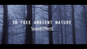 In particular, the fftw3 library and threading (openmp or grand central dispatch) support are included in the distributions. Download 30 Free Ambient Nature Sounds Effect