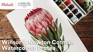 Image result for Protea micans