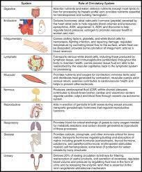 Biology Exams 4 U Body Systems Worksheets Circulatory System Body Systems