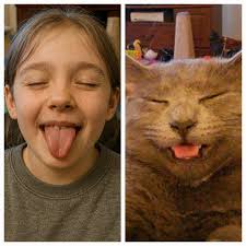 Does the Belcher family from Bob's Burgers have a pet?