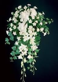 Become a patron of the thought emporium today: The Botanical Emporium Florist Greenhouse Stephanotis Bridal Bouquet Cascading Bridal Bouquets Gardenia Bridal Bouquet