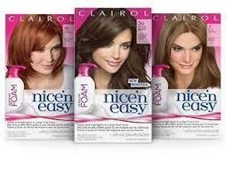 Clairol Nice N Easy Foam Hair Color 6 5g Lightest Golden Brown 1 Kit Packaging May Vary