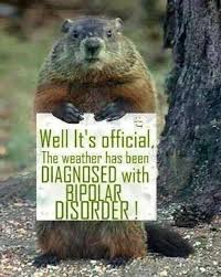 Top lafayette, la pest control services of april 2021. Dave S Pest Control Inc Home Facebook