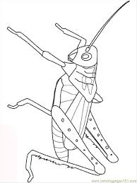 These spring coloring pages are sure to get the kids in the mood for warmer weather. Grasshopper Coloring Page For Kids Free Grasshopper Printable Coloring Pages Online For Kids Coloringpages101 Com Coloring Pages For Kids