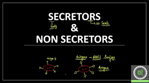 Sequence And Expression Of A Candidate For The Human Secretor Blood Group  Α(1,2)Fucosyltransferase Gene (Fut2): Homozygosity For An  Enzyme-Inactivating Nonsense Mutation Commonly Correlates With The Non- Secretor Phenotype - Sciencedirect
