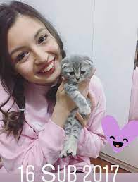 meryem can kedi hayvan yavrusu hayvan
