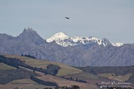 In exchange we would run a post on our large facebook. Snow Cape Town Daily Photo