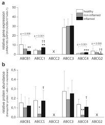 Scheduling annual eye exams are important to start doing at a young age. Dysregulation Of Mucosal Membrane Transporters And Drug Metabolizing Enzymes In Ulcerative Colitis Journal Of Pharmaceutical Sciences
