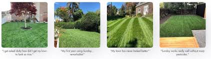 Get to know our ingredients. Sunday Lawn Care Review Good Value Or Not Rethority