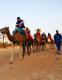 We upgraded our hotel in dades to the rhiana which was very good apar… Camel Ride In Marrakech Morocco Camel Ride Marrakech