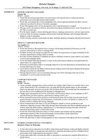 campaign manager resume samples