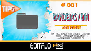 Use proxy videos in your workflow. Como Usar Las Bandejas Bin En Adobe Premiere Youtube