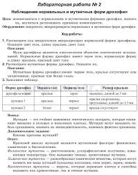 гдз по информатике 5 класс босова рабочая тетрадь списать Reshebnik Po Informatike 6 Klass Bosova Rabochaya Tetrad Otvety Bez Skachivaniya Blog Post