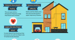 Works with your pet's existing microchip. One Stop Microchip Search Engine Pet Health Care