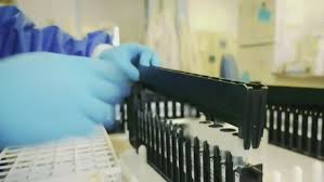 New Brunswick Reports Eight New Cases Of Covid 19 Ctv News
