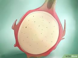 It allows you to easily move the plant indoors when the weather starts getting cold. How To Plant Dragon Fruit 12 Steps With Pictures Wikihow