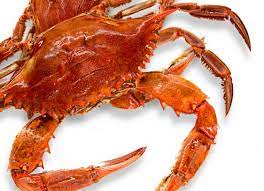 Pin On Louisiana Seafood Recipes