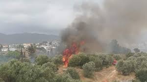 Μεγάλη πυρκαγιά βρίσκεται σε εξέλιξη από νωρίς το μεσημέρι της τετάρτης σε δασική περιοχή στις κεχριές του νομού κορινθίας. Ypo Meriko Elegxo H Fwtia Sthn Pallhnh Deite Fwtografies