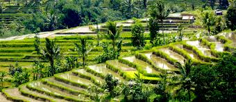 The balinese people are descendants of a prehistoric race who migrated through mainland asia to the indonesian archipelago, presumably first settling around 2500 b.c.e. Bali Threatened Beauty And Culture How To Travel The Island Responsibly