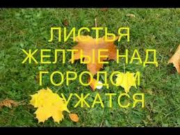лайма вайкуле листья желтые над городом кружатся скачать бесплатно Listya Zhyoltye Skazhite Chto Vam Snitsya Youtube