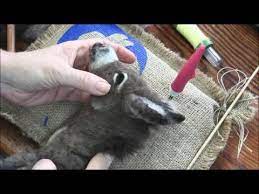 Make A Cute Kitty Youtube Needle Felting Needle Felting Tutorials Needle Felted Animals