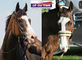 Retired Racehorses Racing Wagering Wa