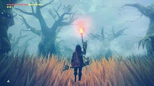 Link Going Into The Lost Woods Breath Of The Wild Legend Of Zelda Breath Of The Wild Final Fantasy Legend