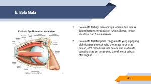 Check spelling or type a new query. Makhluk Hidup Tumbuhan Dan Hewan Ppt Download