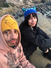 Discovering a large spider in a new home