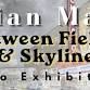 Meet the Maker: Artist Brian Marr