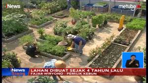 Karna tidak membutuhkan lahan yang luas. Unik Fajar Wiryono Manfaatkan Lahan Di Atas Ruko Lantai 3 Untuk Bercocok Tanam Inews Siang 28 07 Youtube