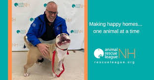Programs include adoptions, surrender and community resources. Animal Rescue League Of Nh Home Facebook