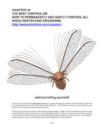 Keep pests away in your home and business with finding termites in your home or business can be stressful but selecting the right termite control. Http Www Stephentvedten Com 36 Wood Destroying Insects Pdf