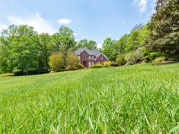 Trouvez les tall grass yard images et les photos d'actualités parfaites sur getty images. Best Grass For Full Sun Yards Kellogg Garden Organics