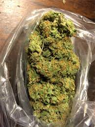 In the 1980s, then crossed with a thai if trimmed properly, atomic northern lights works well in a sea of green. Atomic Northern Lights Aka Atomic Nl Marijuana Strain Information Leafly