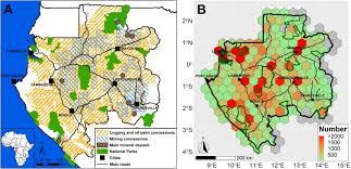 Image result for Allophylus lastoursvillensis