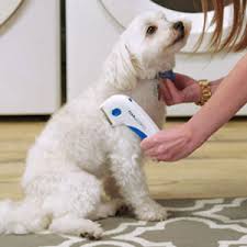 The flea zapper electronic comb emits a low electronic frequency that kills fleas on contact. Amazon Com Bulbhead Original As Seen On Tv Flea Doctor Electronic Flea Comb Perfect For Dogs Cats Kills Stuns Fleas 1 Pack Pet Supplies