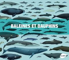 Baleines Et Dauphins Histoire Naturelle Et Guide Des Especes Whales Dolphins And Porpoises A Natural History And Species Guide