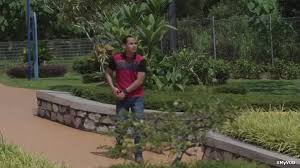 The drama tells a story of an adopted child in the family since his mother's death, firash. Cinta Lemon Madu Episod 13