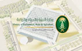 وأشارت الوزارة إلى وجود 170 وظيفة شاغرة للرجال والنساء من السعوديين فقط للعمل في ديوان الوزارة ومناطق المملكة، بنظام. Ø§Ù„Ø¨ÙŠØ¦Ø© Ùˆ Ø§Ù„ÙØ§Ùˆ ØªØ¹Ù„Ù†Ø§Ù† Ø¹Ù† 13 ÙˆØ¸ÙŠÙØ© Ø´Ø§ØºØ±Ø© Ù„Ù„Ø®Ø¨Ø±Ø§Ø¡ Ø§Ù„ÙˆØ·Ù†ÙŠÙŠÙ† ÙÙŠ Ø¨Ø±Ù†Ø§Ù…Ø¬ Ø§Ù„ØªÙ†Ù…ÙŠØ© Ø§Ù„Ø±ÙŠÙÙŠØ© Ø§Ù„Ø²Ø±Ø§Ø¹ÙŠØ© Ø§Ù„Ù…Ø¯ÙŠÙ†Ø©