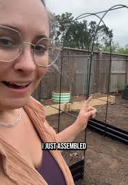 Affordable Raised Bed Gardening Tips with LILYPELLE