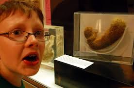 Kingdom Of Fife: July 2010