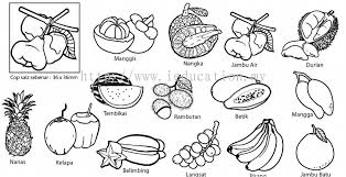 The posters seek to elevate the unique personality of each fruit — durian, coconut and pineapple. Johor Cop 015 Cop Buah Buahan Tempatan 14pcs Science From I Education Solution