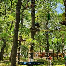 Check spelling or type a new query. Extreme Park Cernica Home Facebook